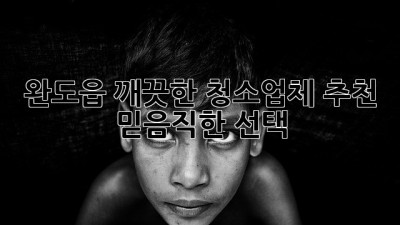 완도읍 깨끗한 청소업체 추천: 믿음직한 선택